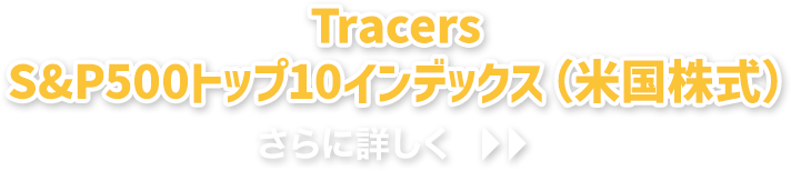 Tracers S&P500トップ10インデックス（米国株式）