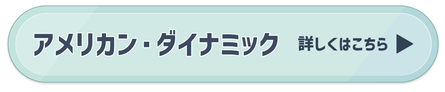 アメリカン・ダイナミック　詳細はこちら